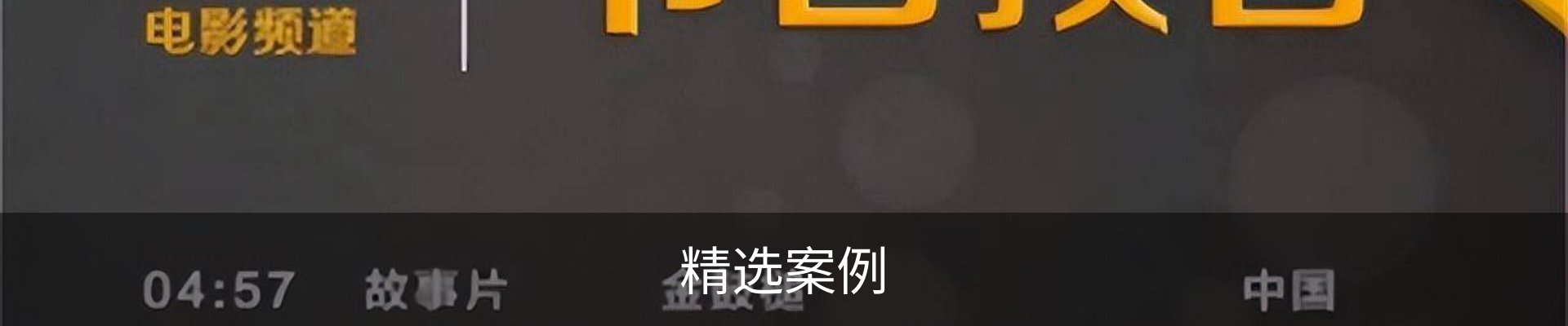 精选案例